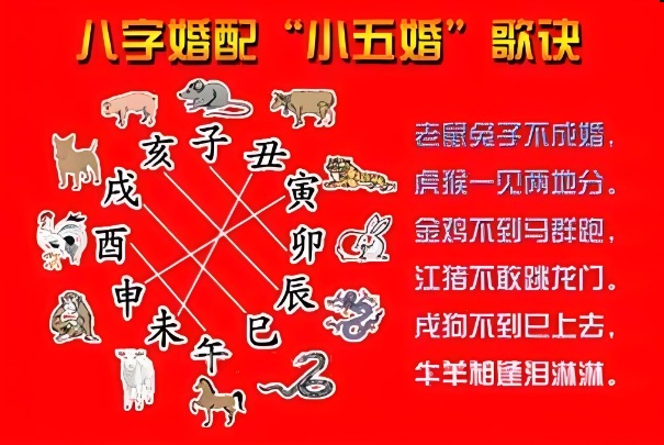 男人梦见猫是好事吗