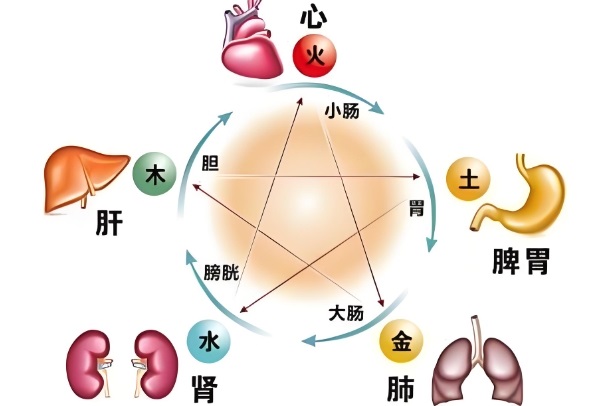 梦见从高处摔下来_坠落寓意