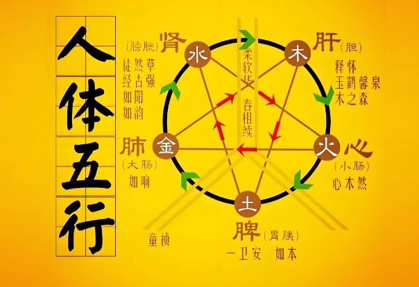 梦见超级大鱼_海中巨影