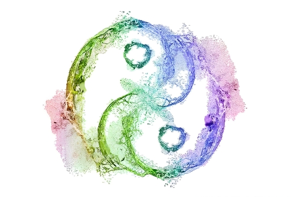 梦到骨灰盒 周公解梦_故人归意图片