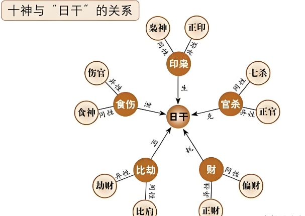 女人梦见两条黑蛇_黑蛇双现