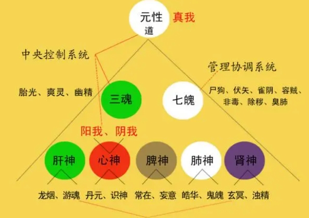 梦见婚礼_婚礼寓意解读