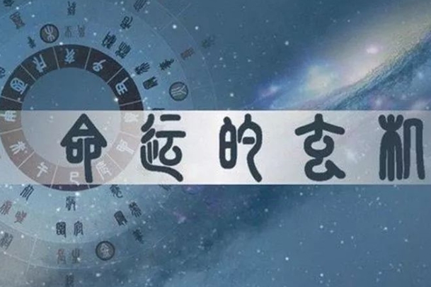 梦见蛇咬人什么意思