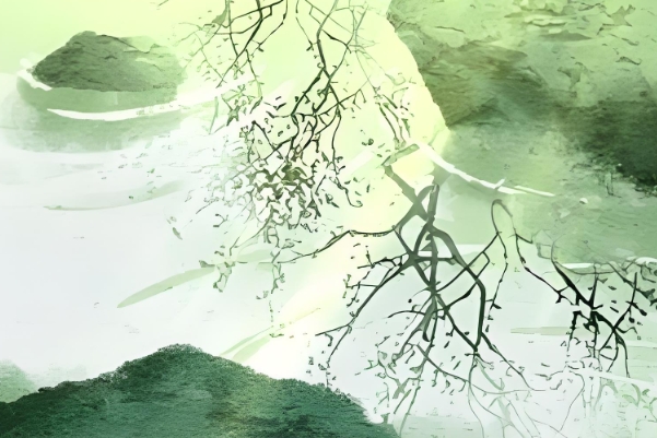 女人梦见别人在水里抓鱼_渔影解读