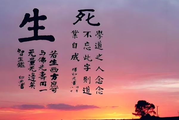 免费测五行八字查询器