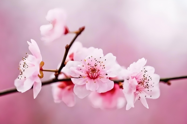 梦见被别人追着跑躲_梦中被追与躲避