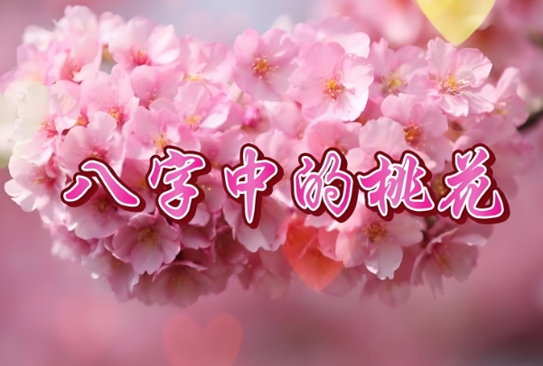 每天运势预测_星座今日运程