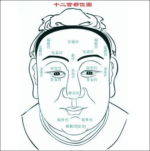 周公解解梦梦见狗图片