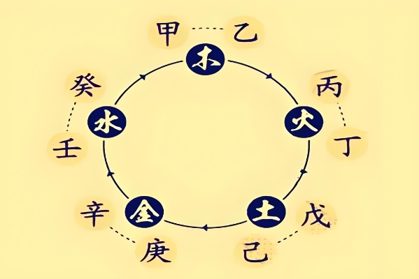 周公解梦梦见蛇追我是什么意思_蛇影预示图片