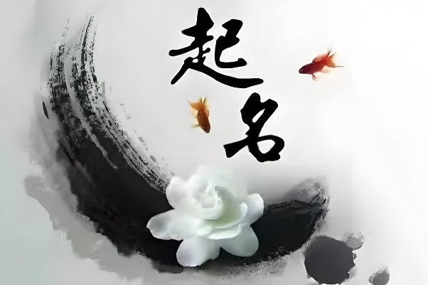 星座查询今日运势_幸运能量速递