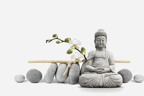 梦见不认识的人被蛇咬_梦见不认识的人被蛇咬含义