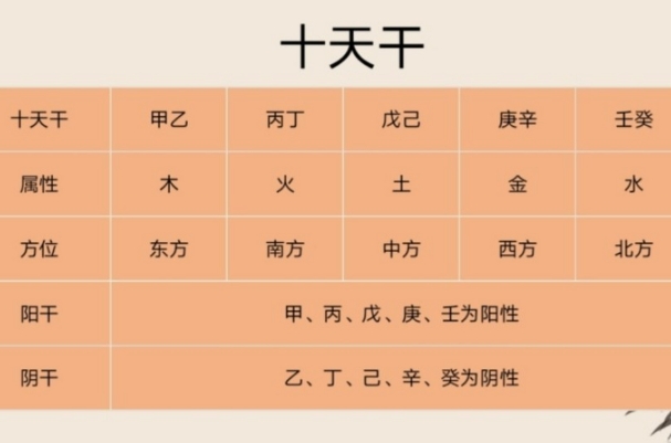 梦见小蟒蛇是什么意思_小蟒蛇梦境解析图片
