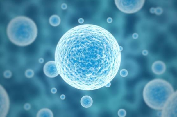 梦见自己拉肚子拉在裤子里_尴尬梦解析