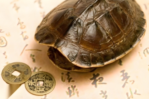 梦见朋友要杀我是什么预兆_朋友杀我梦境解图片