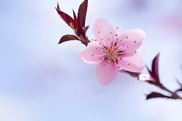 做梦哭醒了而且真的哭了