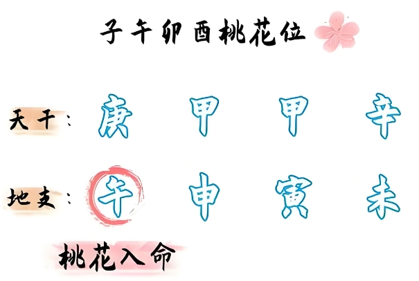 zhengzhao_zhengzhaotips