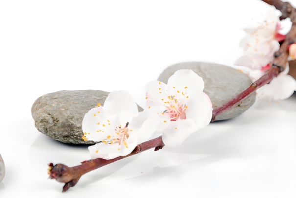 梦见自己杀人见血图片