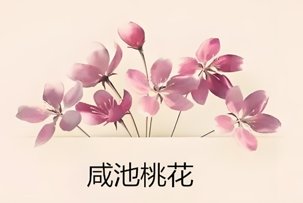 新浪周公解梦_梦见飞翔的鱼