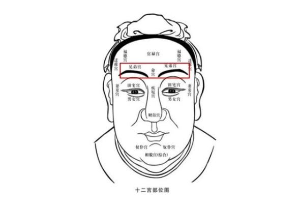 梦见蛇攻击自己但是躲开了_蛇袭避险解读